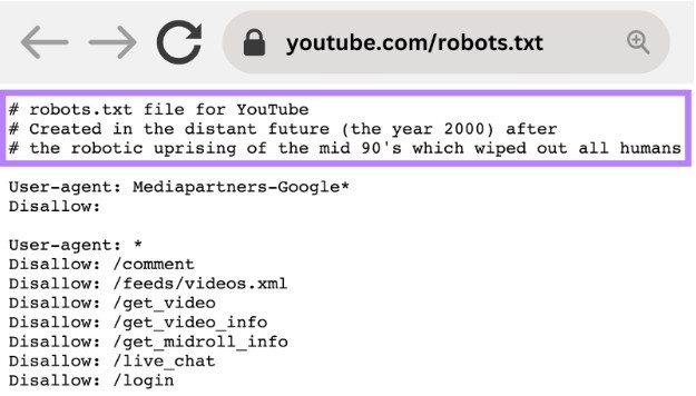 Robots txt File 
